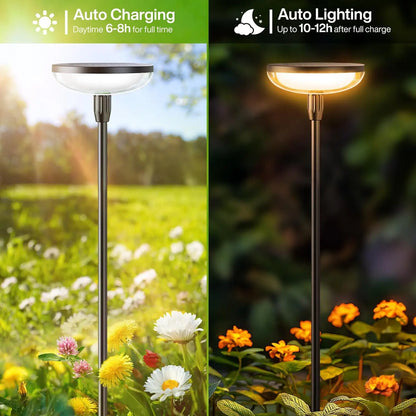 FreeLux™ Tall Solar Pathway Lights