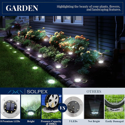 Solar Pathway Lights by FreeLux™